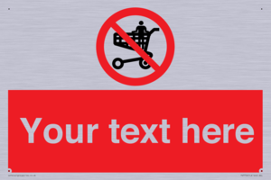 Custom prohibition no standing in trolley